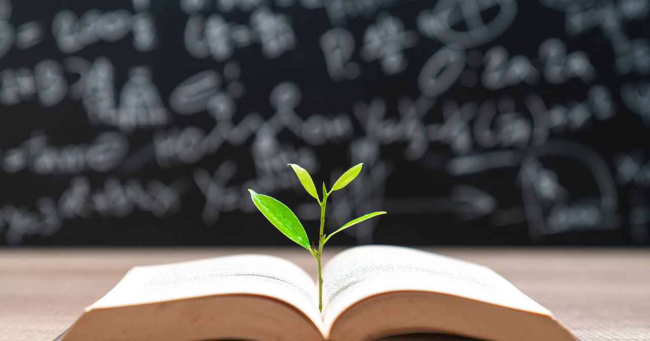 An image of a plant sprouting out of the pages of a book. 