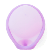 an image of a diaphragm