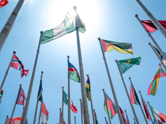 The flags of many nations on flagpoles outside in the sun. 
