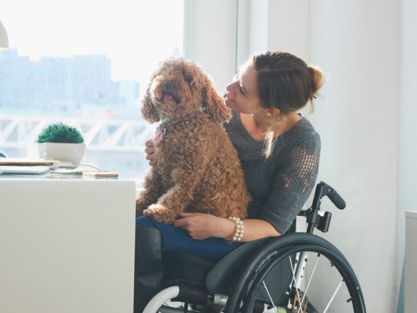 A woman in a wheelchair sits at her desk with her dog in her lap. 